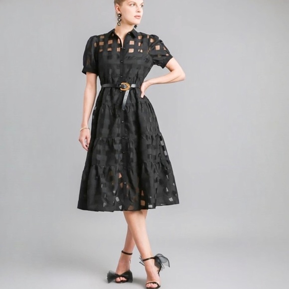 Basket Weave Organza Button Down Dress - Picture 3 of 7